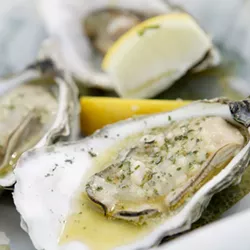 ON THE HALF SHELL : State health officials have closed down some oyster farming areas of Morro Bay because of water pollution. - PHOTO BY STEVE E. MILLER