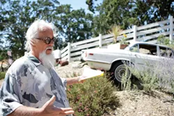 JAGGED AROUND : Bob Finley says he’s got more in store for County Code Officials if they continue to insist his 1971 Jaguar, which he calls yard art, is a commercial sign. - PHOTO BY STEVE E. MILLER