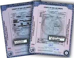 A BAD START : Even the most routine details of Andrea Hug’s case met with problems. It took eight months, an unusually long time, to have her initial death certificate finalized. It wrongly called her death an accident.