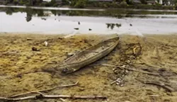 SHALLOW: Sediment is filling Laguna Lake, leading to low water and muddy banks. - PHOTO BY HENRY BRUINGTON