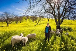 REPORTER IN THE FIELD: Over the past year, New Times Flavor writer Hayley Thomas has traveled across the county in search of epicurean adventure. She found a few sheepish friends at Adelaida Winery in Paso Robles last spring. - PHOTO BY KAORI FUNAHASHI