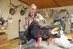 NAILED IT: The boar hide is affixed to the base of the form before Don gets to work on the details. - PHOTO BY DYLAN HONEA-BAUMANN