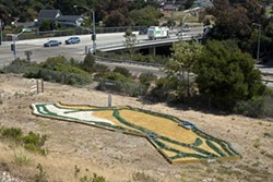 CALIFORNIA DREAMING :  Artist Richard Dunn devotes his land to a whimsical topological state map he&rsquo;s constructing near the freeway. - PHOTO BY STEVE E. MILLER