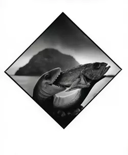 UNDER THE BLACKLIGHT: Here, Cambria resident Arthur Tress photographs one fish eating another fish in one of the 100 images chosen for his new exhibit on scenes surrounding Morro Rock. - PHOTO BY ARTHUR TRESS