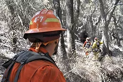 ON THE FRONT LINES: Inmate firefighters go about their physically demanding work side-by-side with civilian firefighters as part of a joint Cal Fire and California Department of Corrections and Rehabilitation program. - PHOTO BY CAMILLIA LANHAM