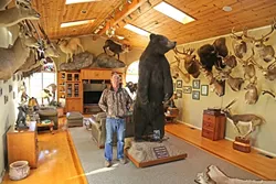 TROPHY ROOM: After a long day of taxidermy work, Don likes to relax in his living room with his wife and all his trophy mounts and watch television. - PHOTO BY DYLAN HONEA-BAUMANN