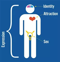 GENDER EXPRESSION: This infographic, inspired by information from Sam Killermann’s blog, itspronouncedmetrosexual.com, helps illustrate the way people express their gender and sexual preferences. - INFOGRAPHIC BY HEATHER WALTER