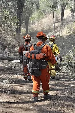 HARD LABOR: The inmate crews fighting the Cuesta Fire often work long hours digging trenches, setting back fires, and clearing brush and trees, all for $1 a day. - PHOTO BY CAMILLIA LANHAM