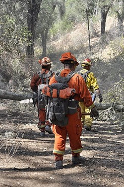HARD LABOR:  The inmate crews fighting the Cuesta Fire often work long hours digging trenches, setting back fires, and clearing brush and trees, all for $1 a day. - PHOTO BY CAMILLIA LANHAM