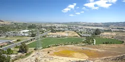 TROUBLED : Recycled water has been playing havoc with the Damon Garcia sports fields. - PHOTO BY STEVE E. MILLER