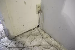 RATS : Leaking ceilings aren’t the only problem for one local family stuck in a rundown rental home. The rain also drives rats to gnaw through the walls. - PHOTO BY STEVE E. MILLER