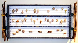 BEACH MUSIC : This is the only of Sheryl Collmer’s beach altars not named after a specific place. The moon snail shells (aka “shark’s eyes), horse conches, whelks, and “turkey wings” are arranged along threads to mimic notes in a portion of Handel’s “Water Music.” - IMAGE COURTESY SHERYL COLLMER