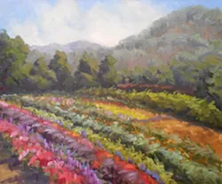 SUMMER OPULENCE : Pacific Grove-based fine artist Christine Crozier, whose work is pictured, is one of many painters to participate in a Plein Air Quick-Draw and outdoor fine art sale during the Festival of the Arts’ main event on Saturday, May 25. - ARTWORK BY CHRISTINE CROZIER