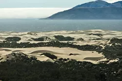 DUNE DUSTUP: After years of unfruitful squabbling over regulation of the OHV riding area of the Oceano Dunes, stakeholders on different sides of the issue are moving toward change with a lawsuit and dust control measures. - FILE PHOTO BY STEVE E MILLER