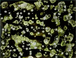 BRIGHT STAR: A lot of Burdick’s pieces reflect scientific themes, like “Silver Spoor,” which evokes the image of an asteroid belt. - IMAGE BY MARGARET BURDICK