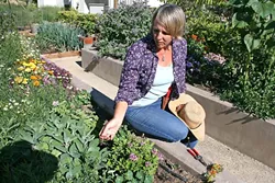 THE ART OF GARDENING : The Avant-Gardener, Annette Pollock, brings 25 years of gardening experience to clients that span wineries to private estates. - PHOTO BY HAYLEY THOMAS