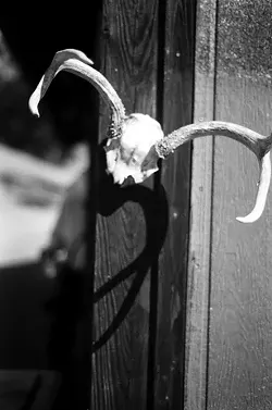 PHOTO BY ANNA WELTNER