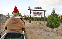 FFT:  A Fast Farm Tour at Holloway&rsquo;s Christmas Tree Farm takes ATV &ldquo;train&rdquo; passengers around the farm, past trees that will eventually be cut down by families who want to take them home for Christmas. - PHOTO BY CAMILLIA LANHAM