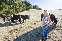 PASTORAL POLITICS: Kim Routh, who raises livestock two doors up from Pasolivo (an olive oil company), questions the appropriateness of special events in an agricultural area. - PHOTO BY KAORI FUNAHASHI