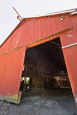 BIG RED: The planned demolition and replacement of the dilapidated dairy barn at Pasolivo is part of a bigger issue over a new permit sought by the company. - PHOTO BY KAORI FUNAHASHI