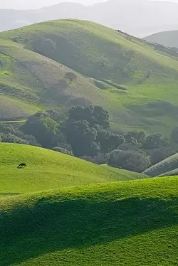 EVENTS CENTER OR RANCHLAND? : On July 30, SLO County planners will discuss restricting large events on non-winery agricultural land. - FILE PHOTO