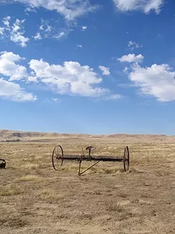GREAT WIDE OPEN : Miles of sun-soaked flat grassland make a prime place for solar power plants and roaming indigenous species, but not both, environmentalist worry. - FILE PHOTO
