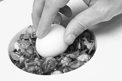 DIG IN : Chef Wangard’s fried Brussels sprout dish features a 63-degree (Celsius) egg prepared sous vide—cooked in a water bath. - PHOTOS BY STEVE E. MILLER