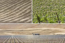 WHERE THERE’S A WELL : Approximately 4,000 acres of proposed irrigated vineyards were exempted from the Aug. 27, 2013, passage of an urgency ordinance intended to stem the tide of new and increasing pumping from the ailing Paso Robles Groundwater Basin. San Luis Obispo County has allowed new building and plantings to continue if water use is offset or minimum requirements are met from a list of possible vested rights exemptions, including the - submission of a well permit application before Aug. 27, 2013. Two well permit applications for the vineyard slated for planting (top left) and a new planting across the street (top right) were submitted two weeks before the ordinance passed. Seen (bottom) is another new vineyard, where Pacific Coast Well Drilling Inc. has been drilling 700- to 800-foot wells. That property submitted 10 well permit applications five days before the ordinance passed, and subsequently received offset exemptions. - PHOTOS BY TOM FALCONER