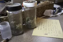 TAKE AS NEEDED : Cannafornia Health Services is one of the few ways to obtain medical marijuana in SLO County. No incorporated cities allow dispensaries and even delivery services are hard to come by due to legal risks. - PHOTO BY STEVE E. MILLER