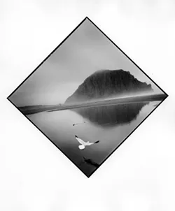 UNEARTHING THE ROCK: Since 2009, Tress has been taking daily photographs of the local flora, fauna, and people of Morro Bay. SLOMA chose 100 out of nearly 25,000 images taken by Tress. - PHOTO BY ARTHUR TRESS