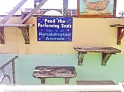 BLANK WALLS: Under threat of legal action from the Animal Legal Defense Fund, operators of the Morro Bay Aquarium removed old signs that allegedly misled visitors into believing the facility continues to rehabilitate seals and sea lions. - FILE PHOTO BY STEVE E. MILLER