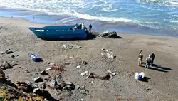 PANGAS ALL THE WAY DOWN: This panga was recovered from a SLO County beach—one of 12 found since 2012. The boats are used for smuggling operations. - PHOTO COURTESY OF THE SLO COUNTY SHERIFF’S DEPARTMENT