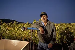 VIENTE SIETE ANOS : Rigo Castillo has been working for Laetitia for 27 years. This evening, he’s driving a harvest tractor that takes the grapes back for processing. - PHOTOS BY STEVE E. MILLER