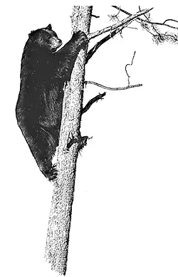 FILE PHOTO