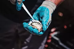 AQUA ADVENTURE: This sumptuous, salty oyster was thoroughly enjoyed on a dock in the middle of Morro Bay estuary last summer, courtesy of Morro Bay Oyster Company owner Neal Maloney. - PHOTO BY HAYLEY THOMAS
