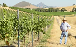 NATURAL MAN : Jean-Pierre Wolff is a friend to the land and creatures of his vineyards. - PHOTO BY STEVE E. MILLER
