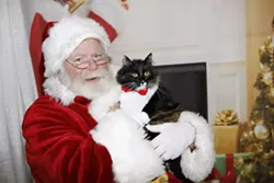 MEOWY CHRISTMAS: Two years ago Cat Cat sat on Santa’s lap at Woods Humane Society and requested a lifetime supply of catnip for Christmas. - PHOTO COURTESY OF ASHLEY SCHWELLENBACH
