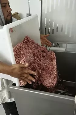 11: : After grinding, Tesero pours the meat into a mixing machine brought in from Spain.