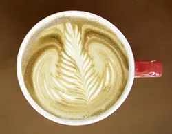 LATTE ART : Jonathan Withers of Joe Momma's Coffee poured this leaf.