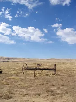 PLAIN SPOKEN : A new management plan is in the works for the Carrizo Plain National Monument "Californias Serengeti" prompting local leaders to seek public input. - PHOTO BY KATHY JOHNSTON