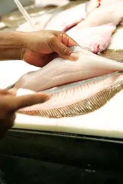 WILD-CAUGHT LOCAL FISH : Demand is increasing for sustainably harvested seafood from local waters. A new cooperative approach is expected to increase supplies. - PHOTO BY STEVE E. MILLER