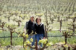 DAM IT : Niels and Bimmer Udsen are the owners and operators who founded Castoro Cellars in 1983. - PHOTO BY JESSE ACOSTA