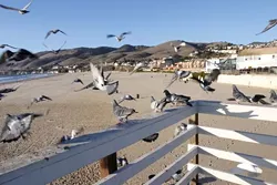 20071227064641_l.jpg