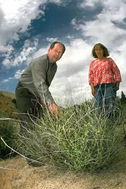 THE FIX IS IN : Biologists V.L. Holland and Jennifer Langford are passionate about ecological restoration at the excavated slopes of Rocky Canyon granite mine. - PHOTO BY CHRISTOPHER GARDNER