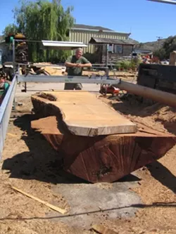 NEW LIFE : Don Seawater of Pacific Coast Lumber transforms a fallen cypress tree into beautiful, functional wood for rustic tables. - PHOTO BY KATHY JOHNSTON