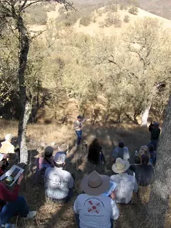 SAVING THE OAKS : Members of SLO Countys Oak Resources Committee gathered at the Avenales Ranch earlier this month for an educational program sponsored by UC Cooperative Extension, "Oaks: The Next Re-Generation." - PHOTO BY KATHY JOHNSTON