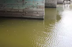 DISMAL PISMO : Pismo Creek, which travels directly into the ocean, is consistently nasty-looking and frequently posted with warnings that contact with the water is unsafe. - PHOTO BY JESSE ACOSTA