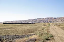 NOTHING BUT SUNSHINE: A few years ago, cheap land and ample amounts of sunshine brought two massive solar plants to the California Valley area. Now, a rapid proliferation of marijuana grows—many roadside and right out in the open on once-vacant lots—has many residents worried, while growers say those concerns are inflated. - PHOTO BY JONO KINKADE