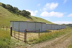 PRECIOUS RESOURCE: Four tanks in a valley west of El Chorro Regional Park can hold up to 400,000 gallons of rainwater captured off roofs at the Cal Poly Beef Unit. - PHOTO BY DYLAN HONEA-BAUMANN