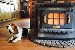 LAZY SUNDAY : Local regular Annabelle gets warm by the wood burning stove in the Reyes Creek Bar and Grill. - PHOTO BY CAMILLIA LANHAM